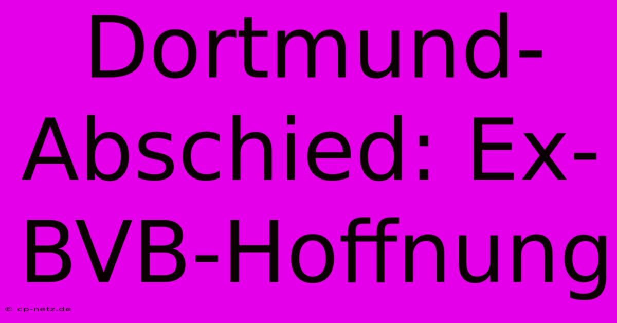 Dortmund-Abschied: Ex-BVB-Hoffnung