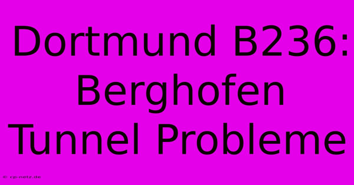 Dortmund B236:  Berghofen Tunnel Probleme