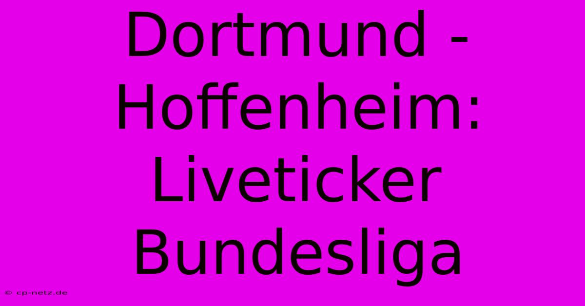 Dortmund - Hoffenheim: Liveticker Bundesliga