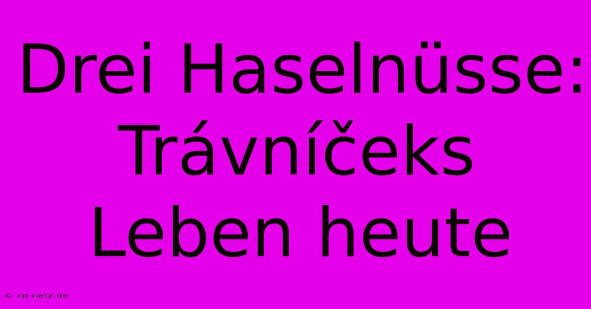 Drei Haselnüsse: Trávníčeks Leben Heute