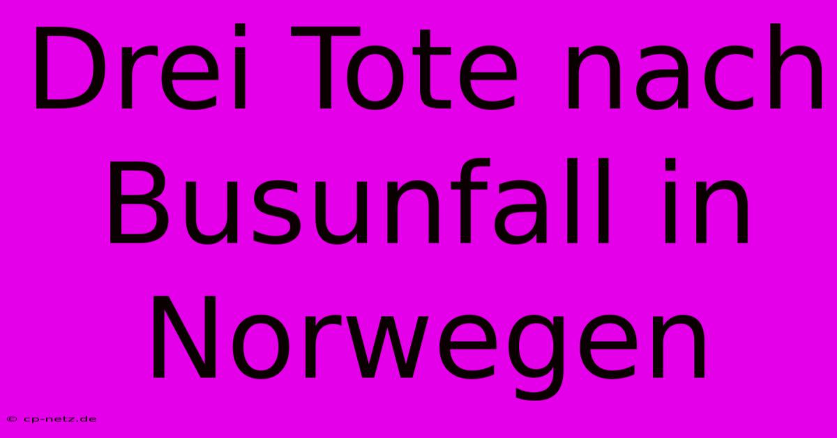 Drei Tote Nach Busunfall In Norwegen