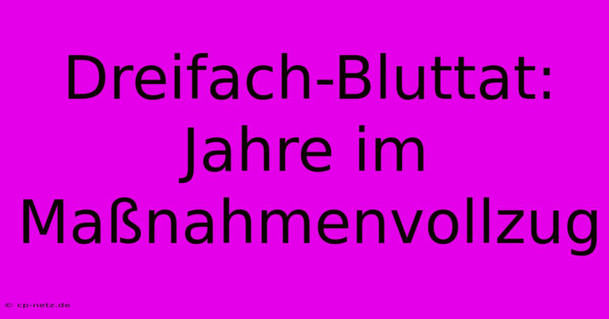 Dreifach-Bluttat:  Jahre Im Maßnahmenvollzug