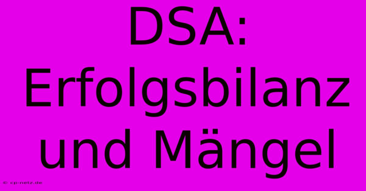 DSA:  Erfolgsbilanz Und Mängel