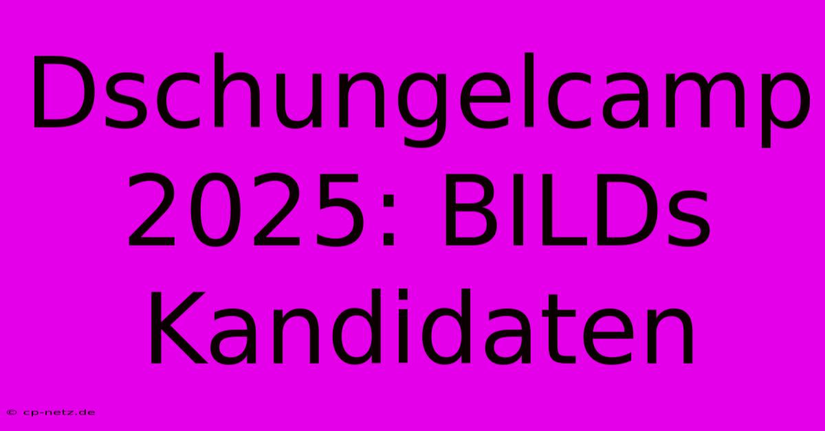 Dschungelcamp 2025: BILDs Kandidaten