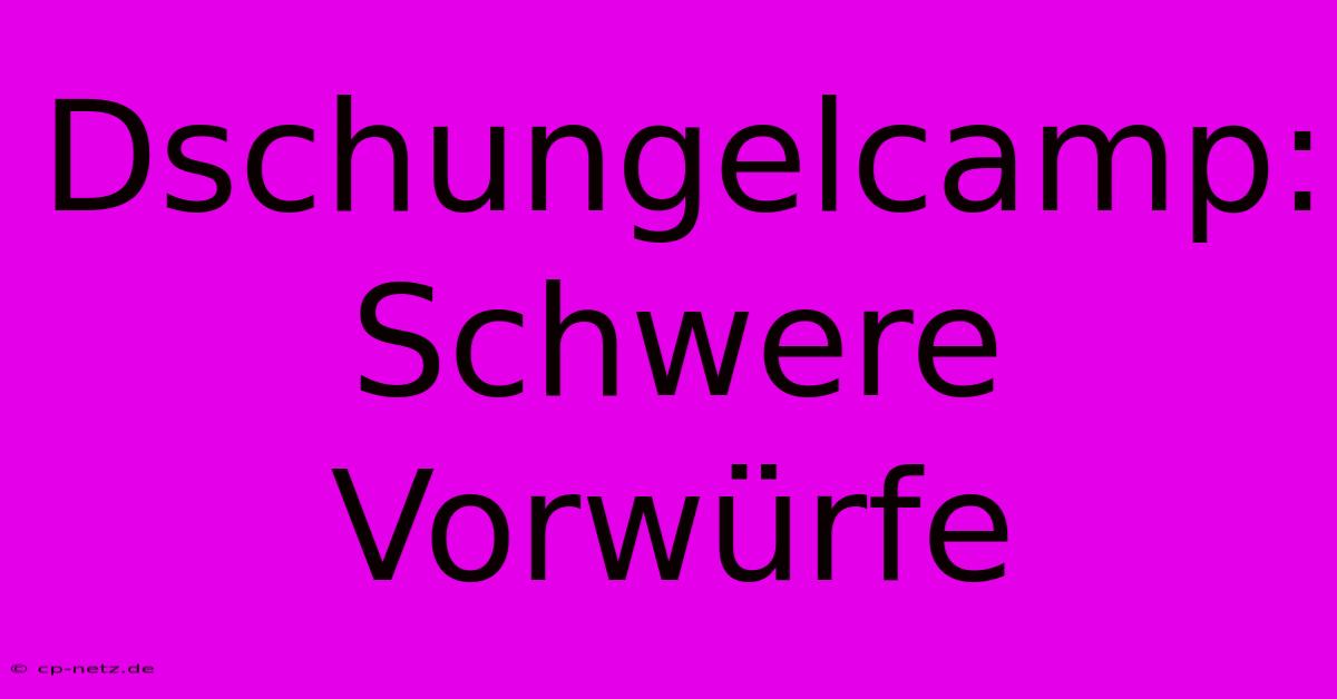 Dschungelcamp: Schwere Vorwürfe