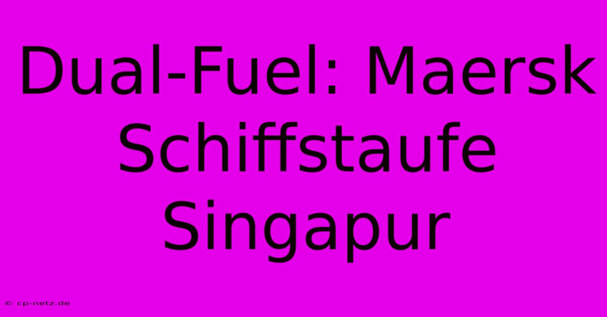 Dual-Fuel: Maersk Schiffstaufe Singapur