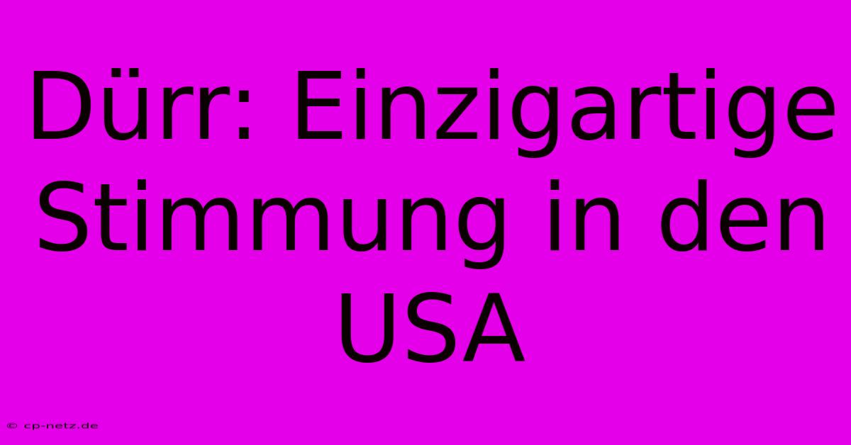 Dürr: Einzigartige Stimmung In Den USA