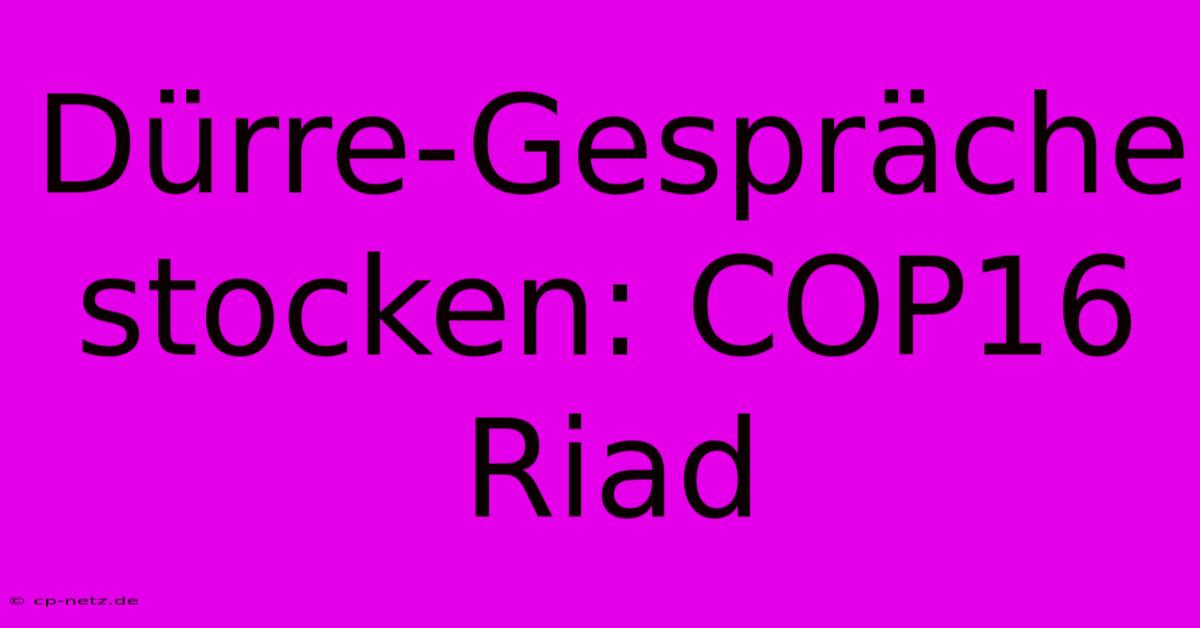 Dürre-Gespräche Stocken: COP16 Riad