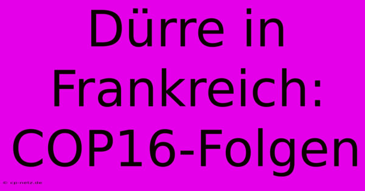 Dürre In Frankreich: COP16-Folgen