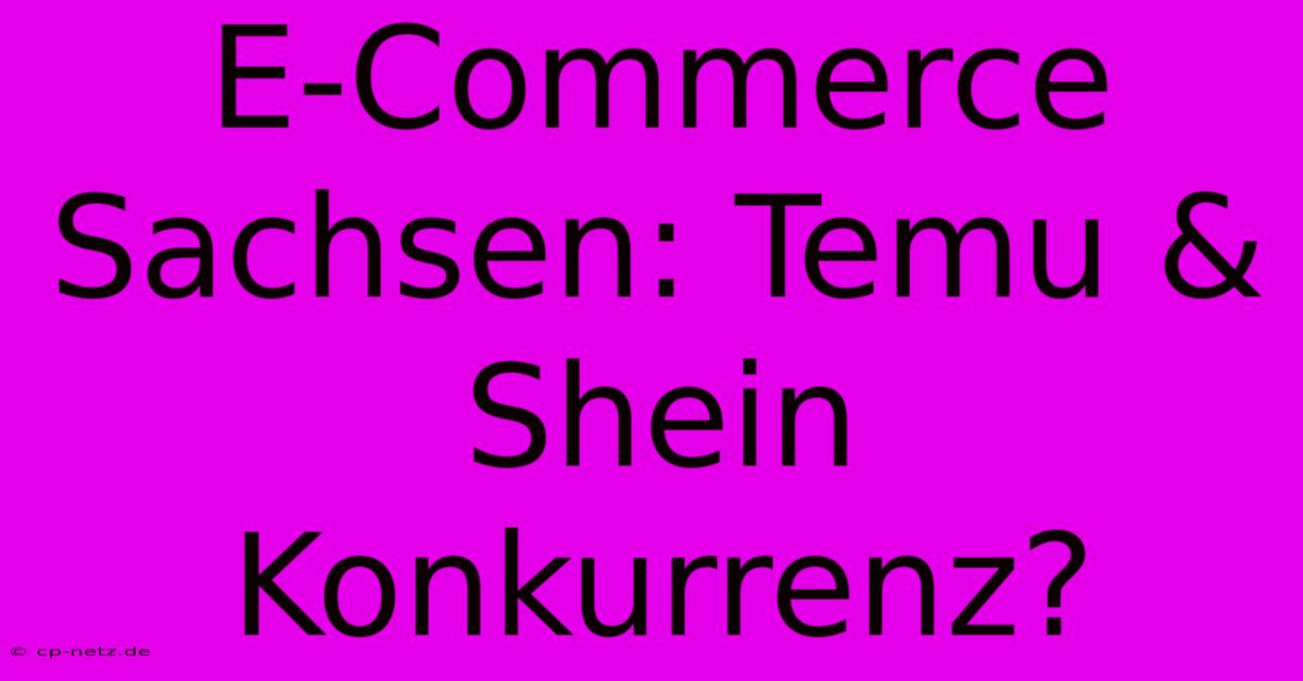 E-Commerce Sachsen: Temu & Shein Konkurrenz?