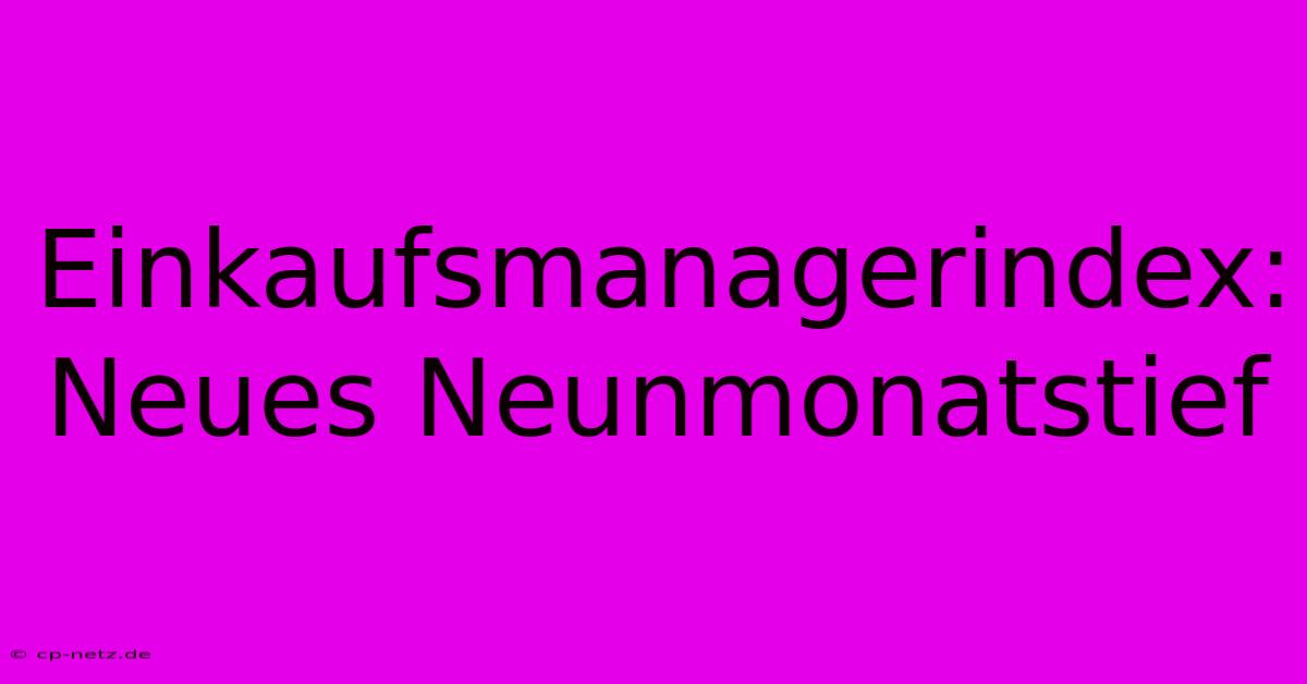 Einkaufsmanagerindex: Neues Neunmonatstief