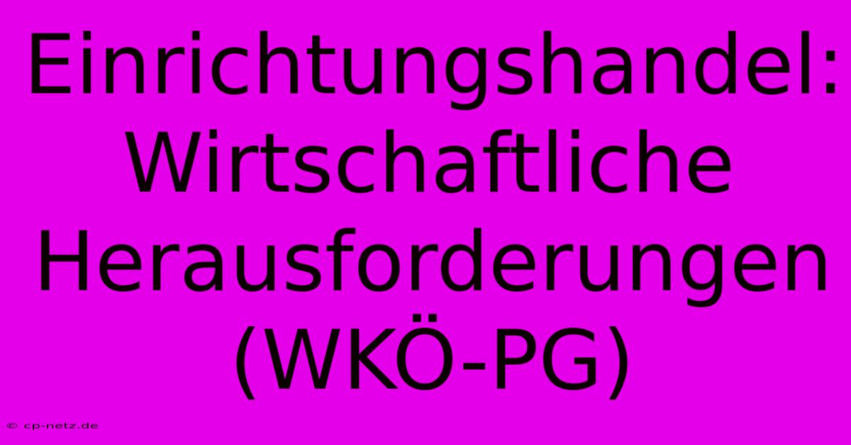 Einrichtungshandel: Wirtschaftliche Herausforderungen (WKÖ-PG)