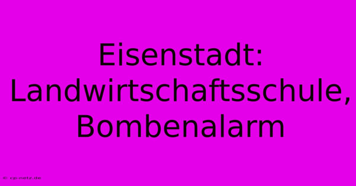 Eisenstadt: Landwirtschaftsschule, Bombenalarm