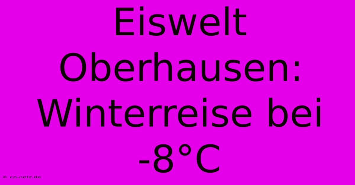 Eiswelt Oberhausen:  Winterreise Bei -8°C