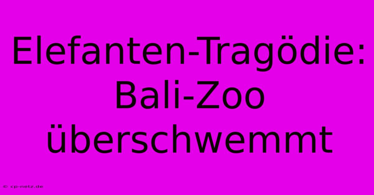 Elefanten-Tragödie: Bali-Zoo Überschwemmt