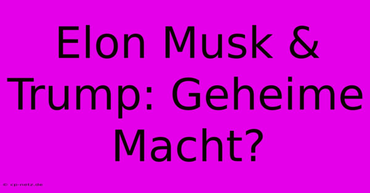 Elon Musk & Trump: Geheime Macht?