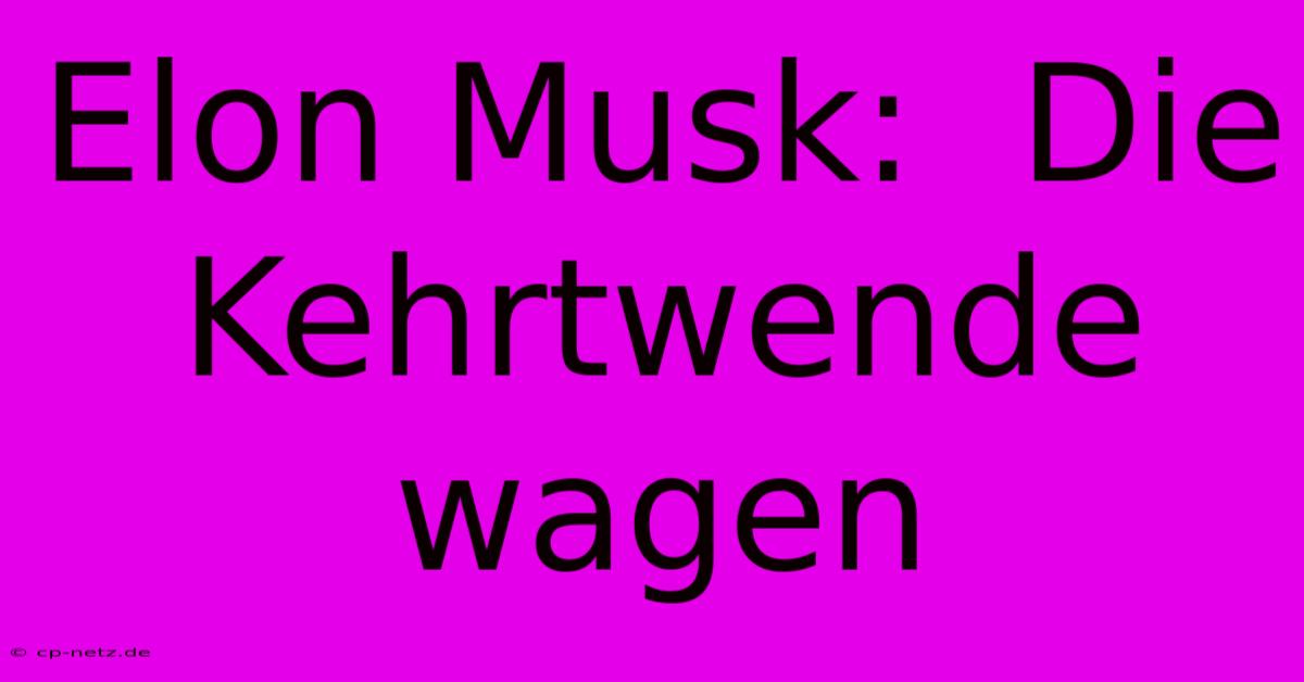 Elon Musk:  Die Kehrtwende Wagen