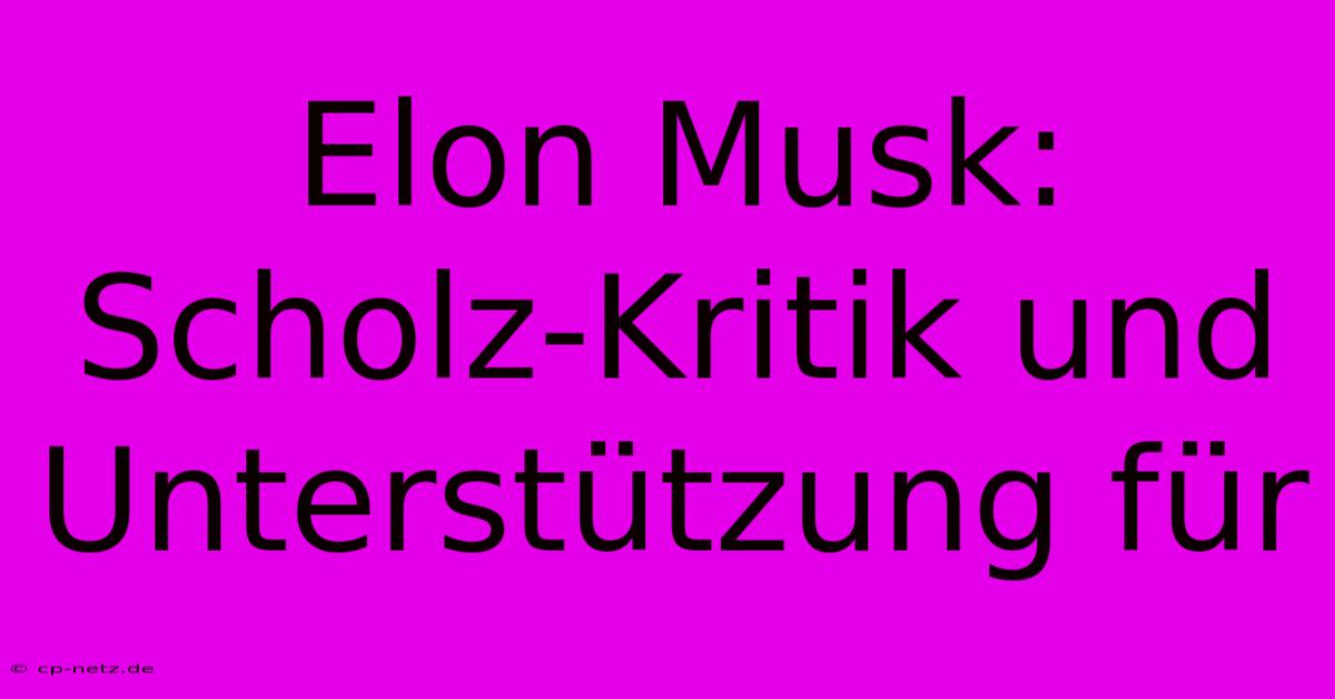 Elon Musk: Scholz-Kritik Und Unterstützung Für