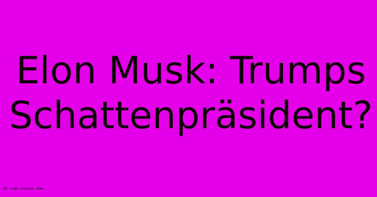 Elon Musk: Trumps Schattenpräsident?