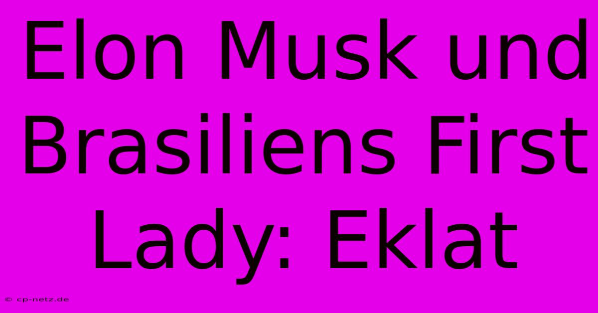 Elon Musk Und Brasiliens First Lady: Eklat