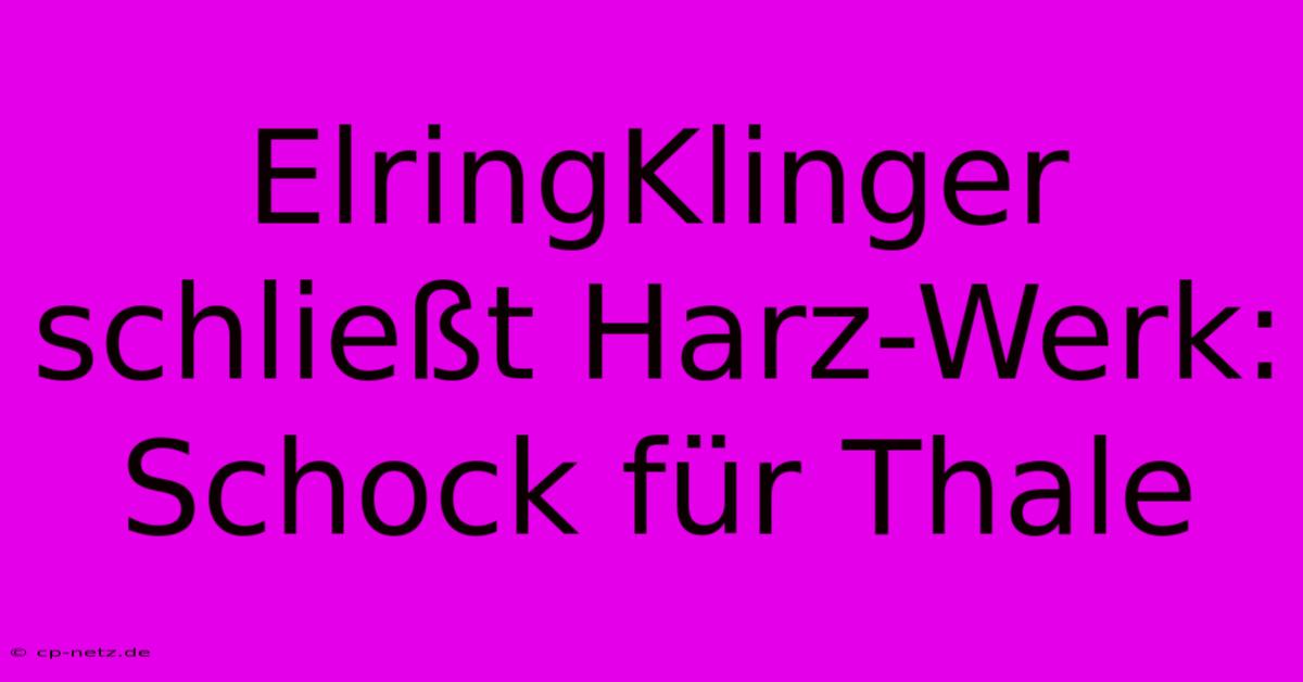 ElringKlinger Schließt Harz-Werk: Schock Für Thale