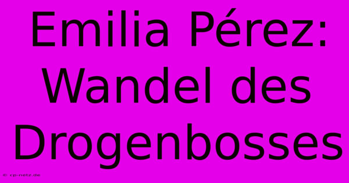 Emilia Pérez: Wandel Des Drogenbosses