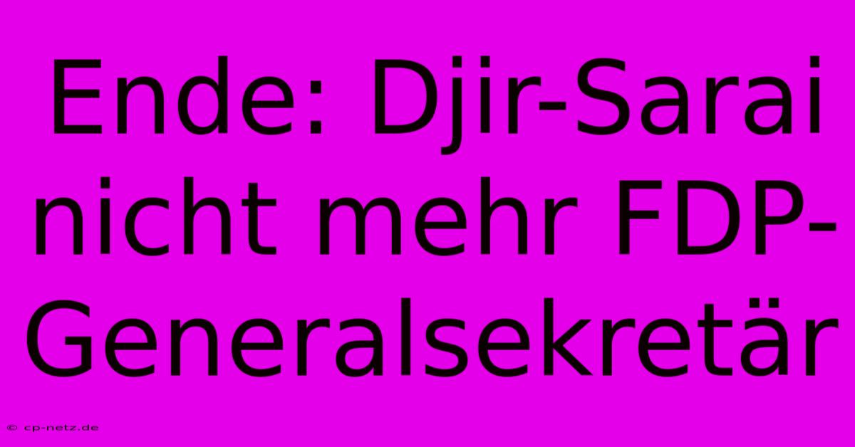 Ende: Djir-Sarai Nicht Mehr FDP-Generalsekretär