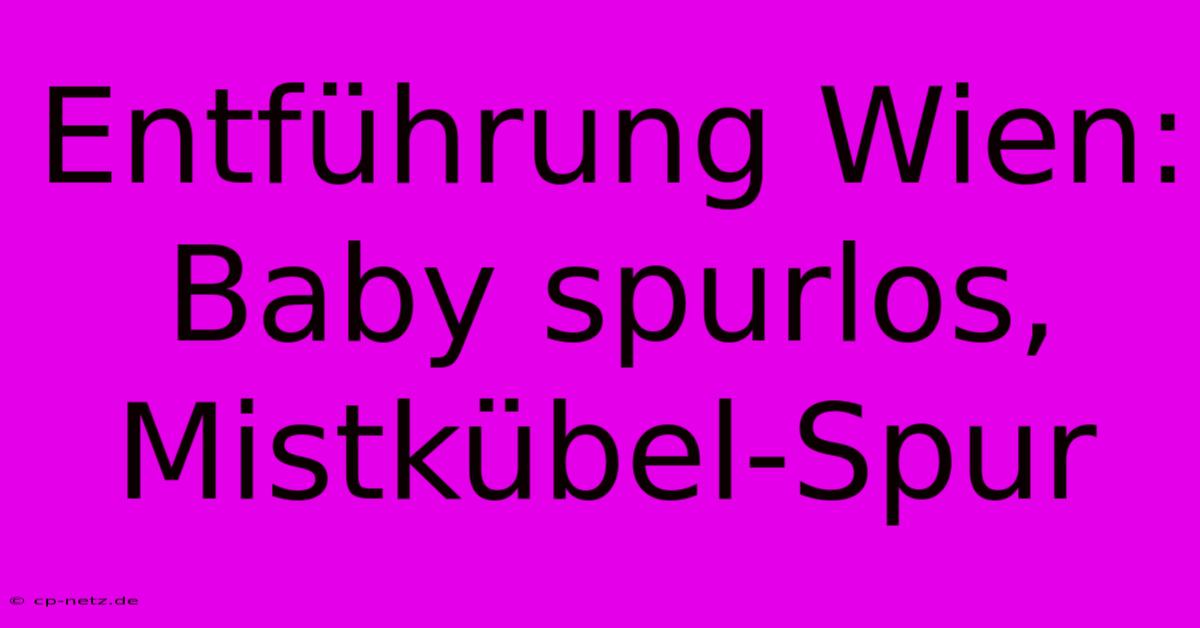 Entführung Wien: Baby Spurlos, Mistkübel-Spur