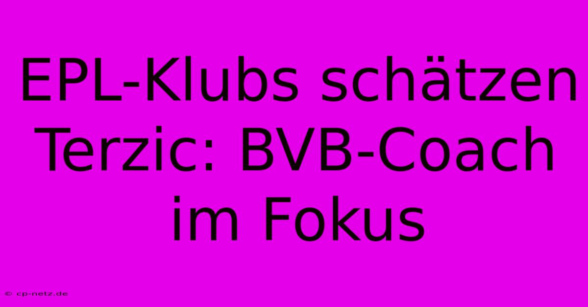 EPL-Klubs Schätzen Terzic: BVB-Coach Im Fokus