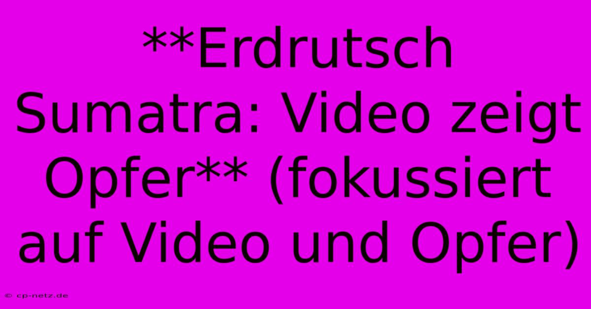 **Erdrutsch Sumatra: Video Zeigt Opfer** (fokussiert Auf Video Und Opfer)