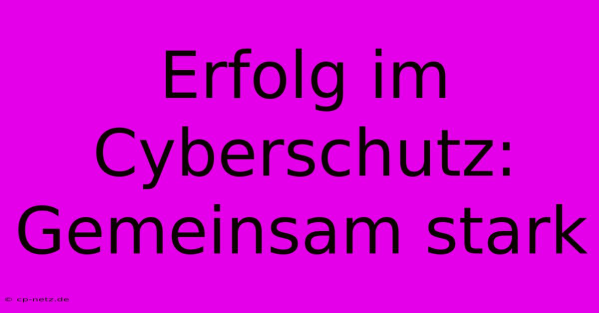 Erfolg Im Cyberschutz: Gemeinsam Stark