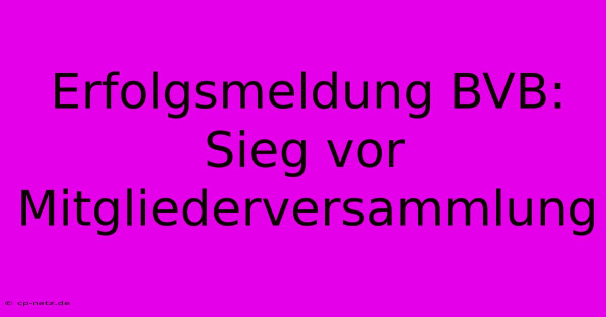 Erfolgsmeldung BVB: Sieg Vor Mitgliederversammlung