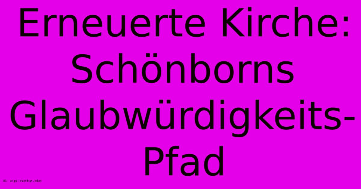 Erneuerte Kirche: Schönborns Glaubwürdigkeits-Pfad