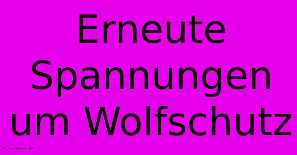 Erneute Spannungen Um Wolfschutz