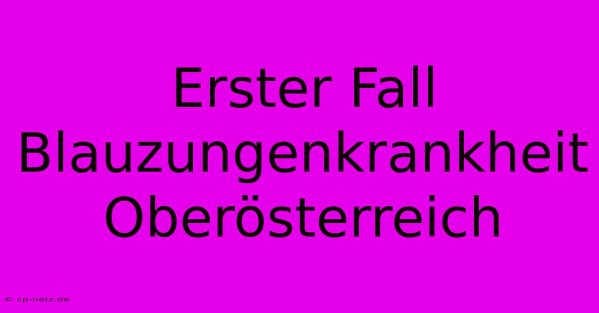 Erster Fall Blauzungenkrankheit Oberösterreich