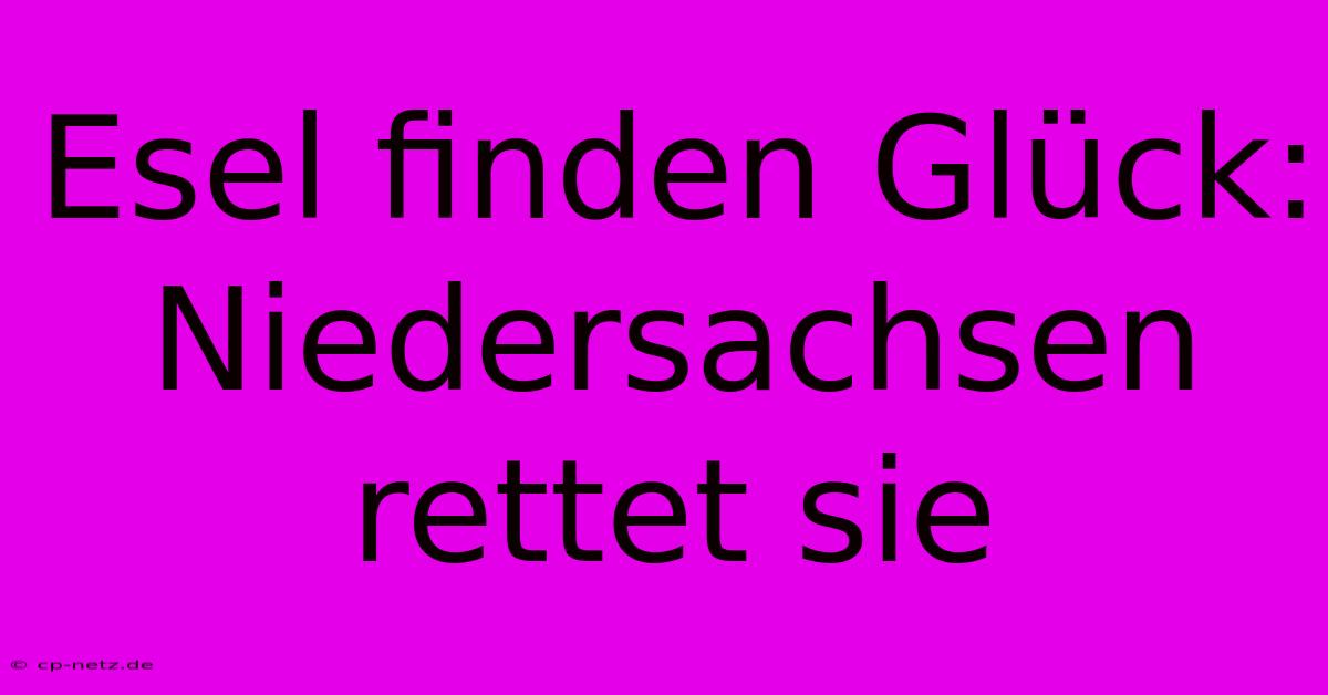 Esel Finden Glück: Niedersachsen Rettet Sie