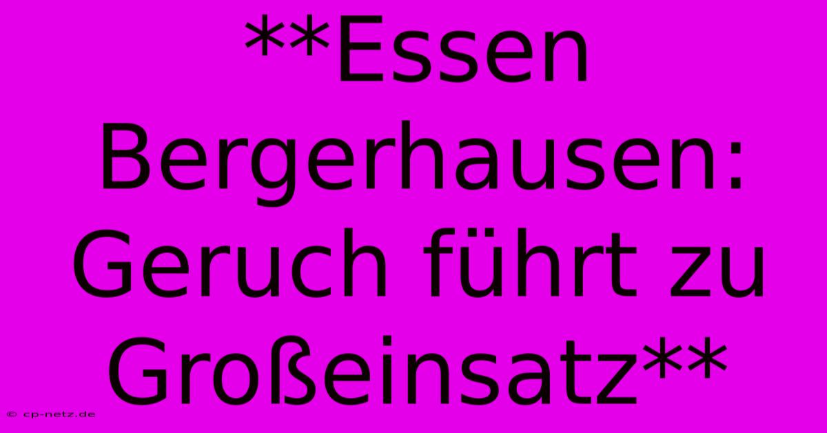 **Essen Bergerhausen:  Geruch Führt Zu Großeinsatz**