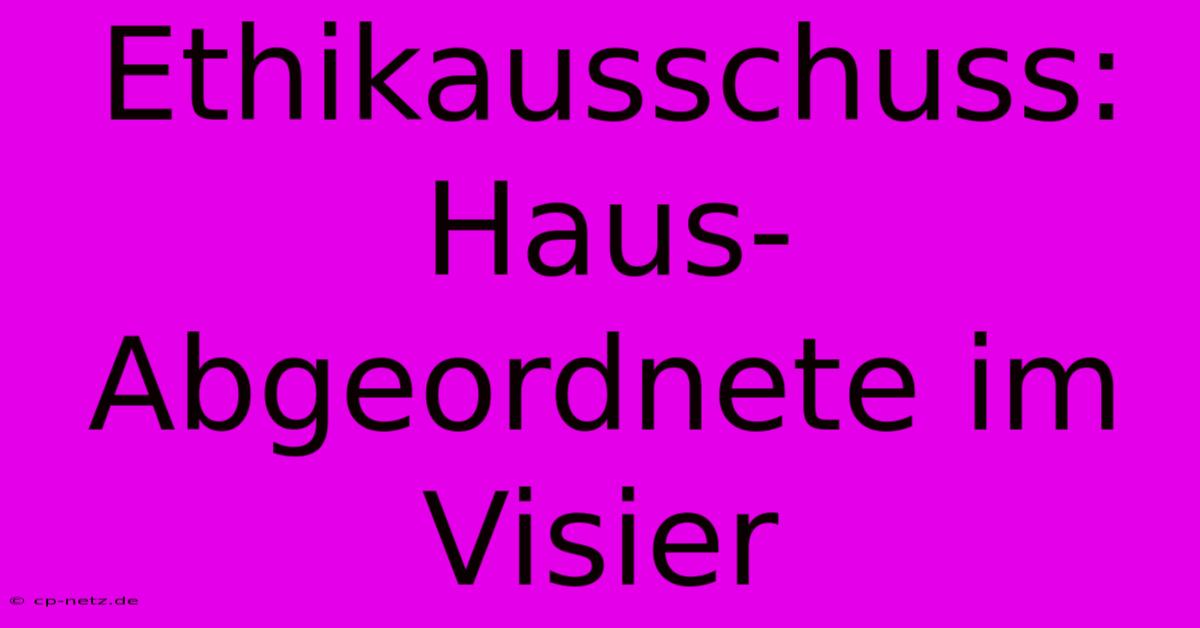 Ethikausschuss: Haus-Abgeordnete Im Visier