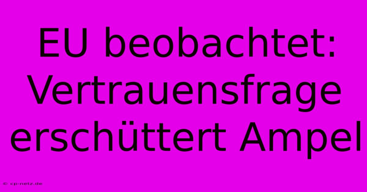 EU Beobachtet: Vertrauensfrage Erschüttert Ampel