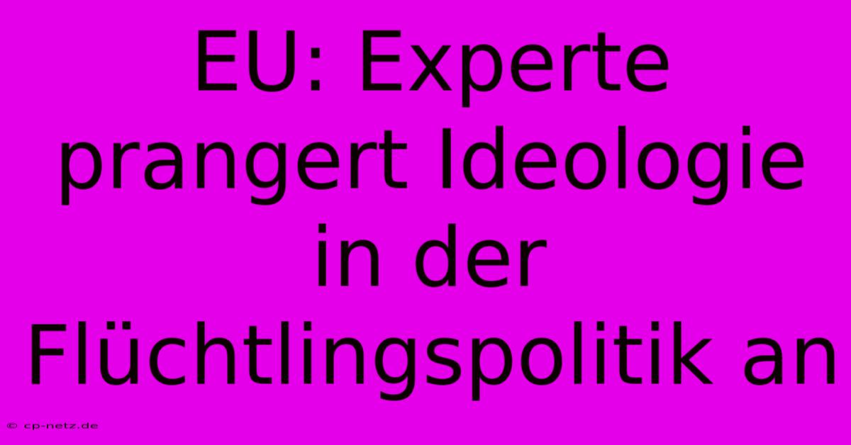 EU: Experte Prangert Ideologie In Der Flüchtlingspolitik An