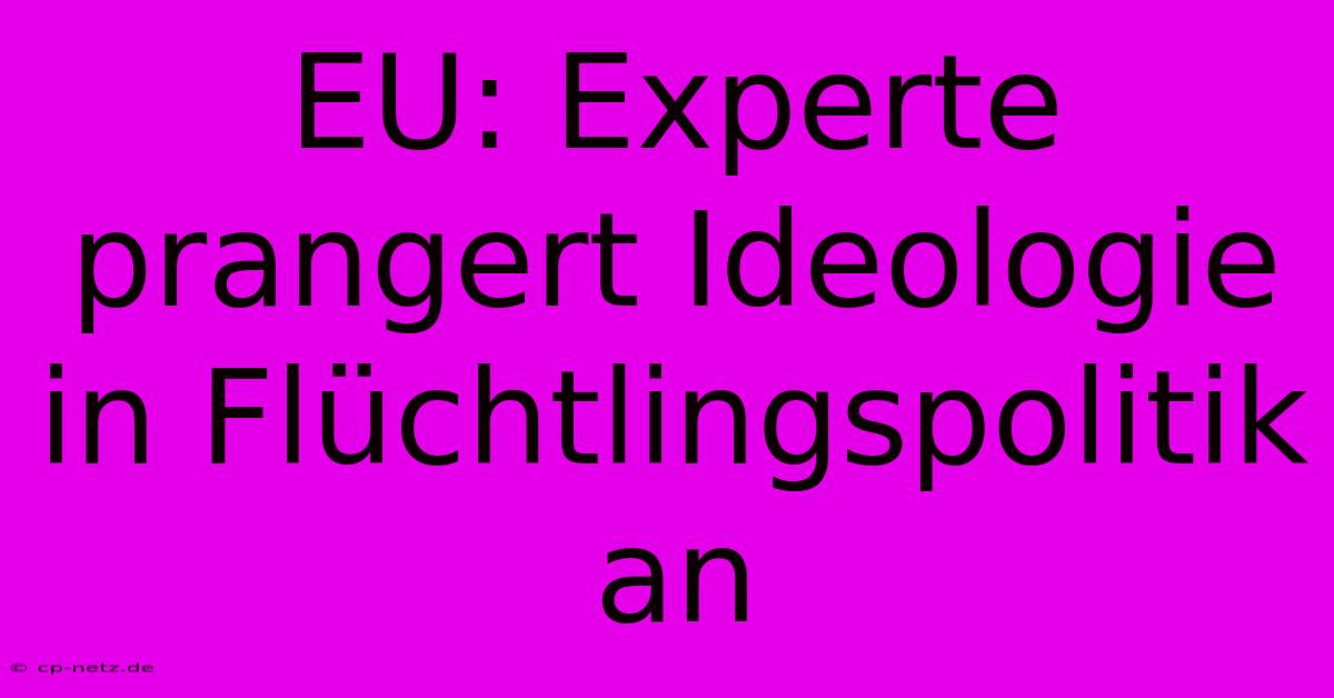 EU: Experte Prangert Ideologie In Flüchtlingspolitik An