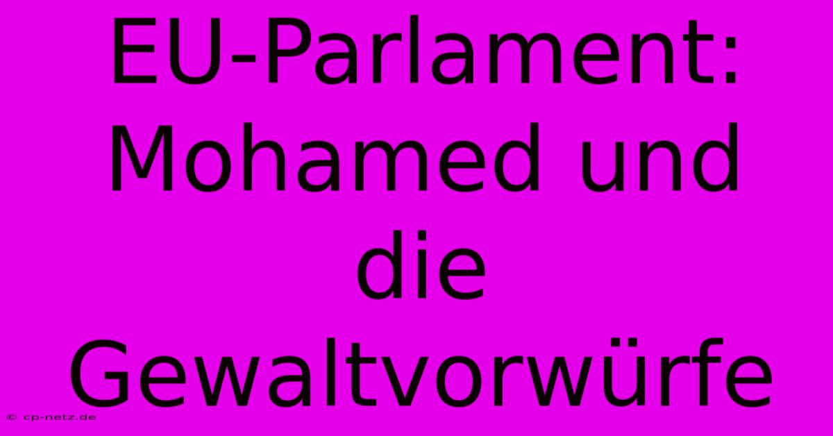 EU-Parlament:  Mohamed Und Die Gewaltvorwürfe