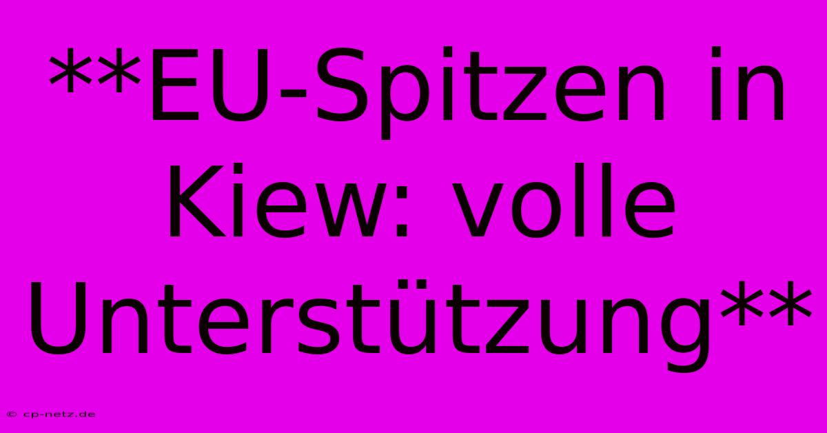 **EU-Spitzen In Kiew: Volle Unterstützung**