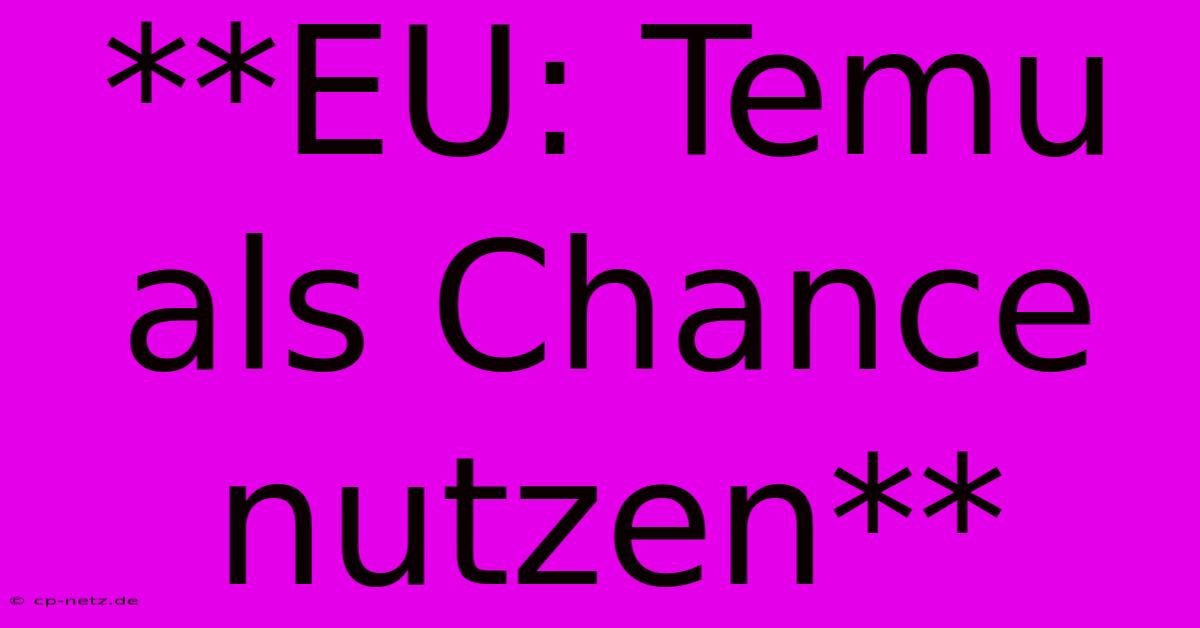 **EU: Temu Als Chance Nutzen**