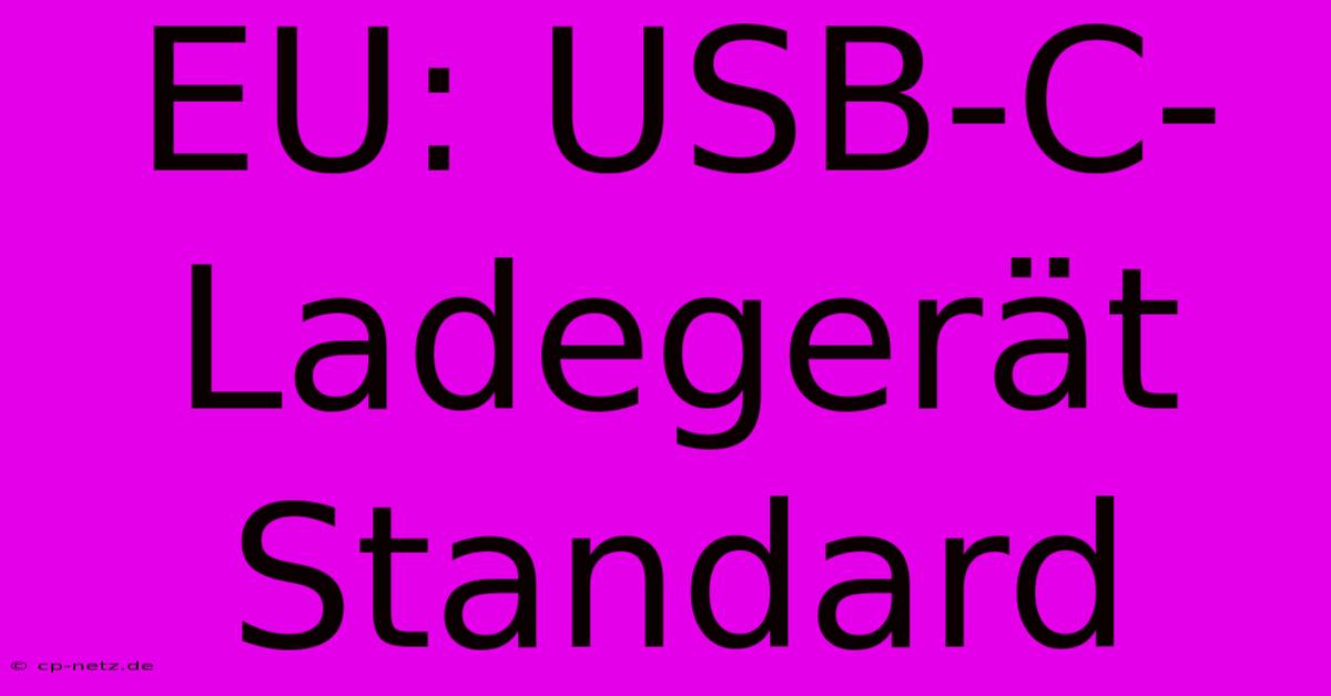 EU: USB-C-Ladegerät Standard