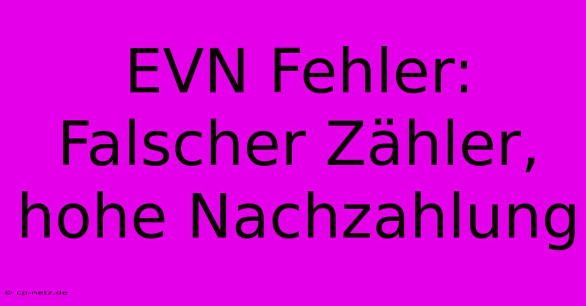 EVN Fehler: Falscher Zähler, Hohe Nachzahlung