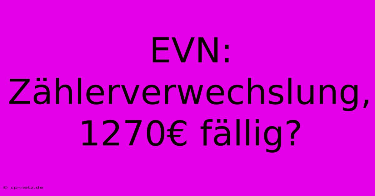 EVN: Zählerverwechslung, 1270€ Fällig?