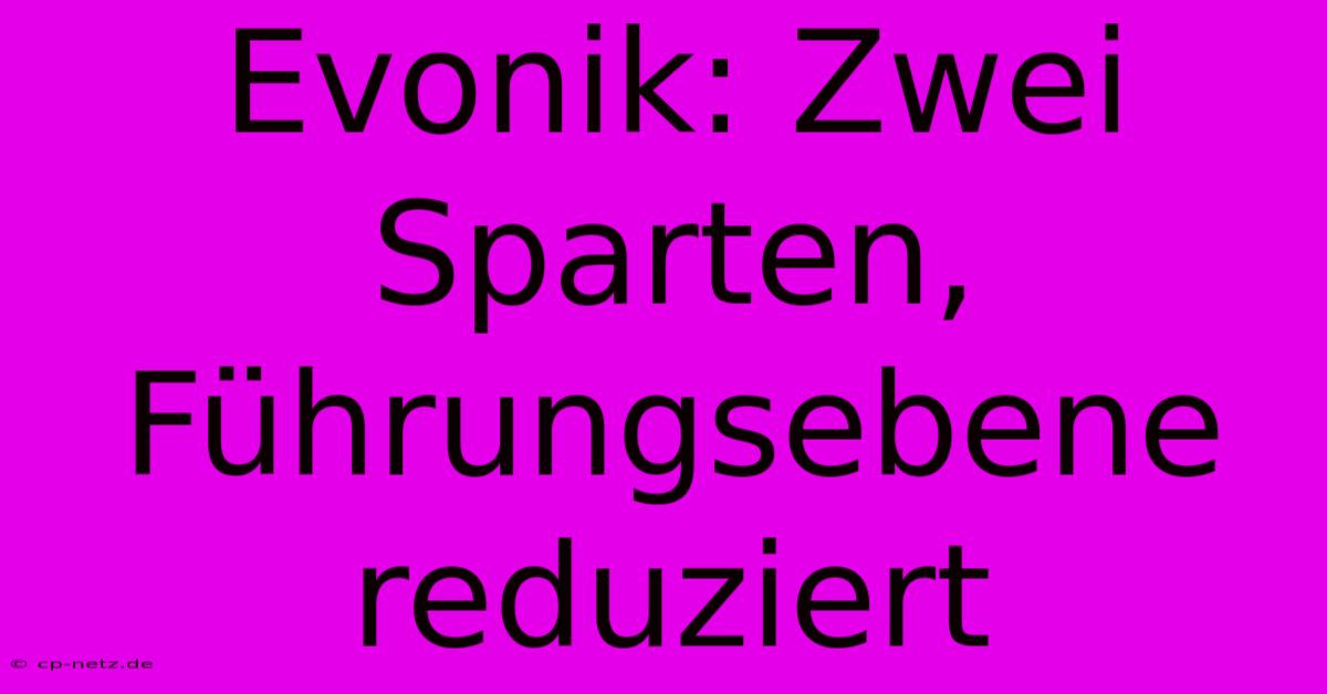 Evonik: Zwei Sparten, Führungsebene Reduziert