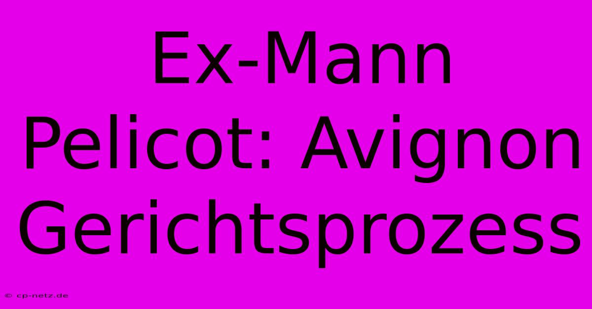 Ex-Mann Pelicot: Avignon Gerichtsprozess