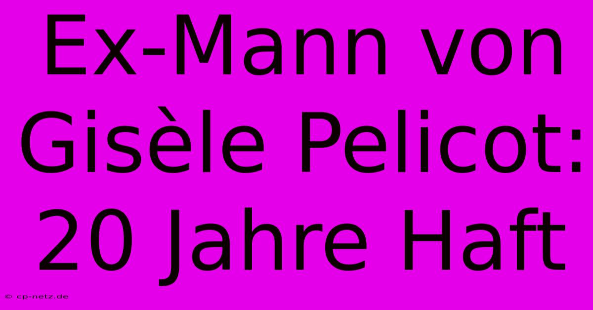 Ex-Mann Von Gisèle Pelicot: 20 Jahre Haft